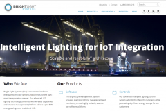 Bright Light Systems Homepage Screenshot