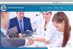 Testa Search Partners homepage screenshot