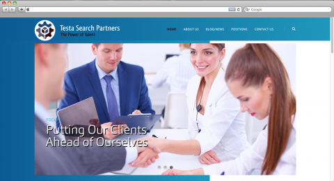 Testa Search Partners homepage screenshot