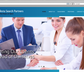 Testa Search Partners screenshot