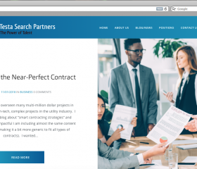 Testa Search Partners screenshot